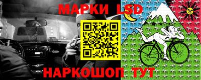spice Гусев