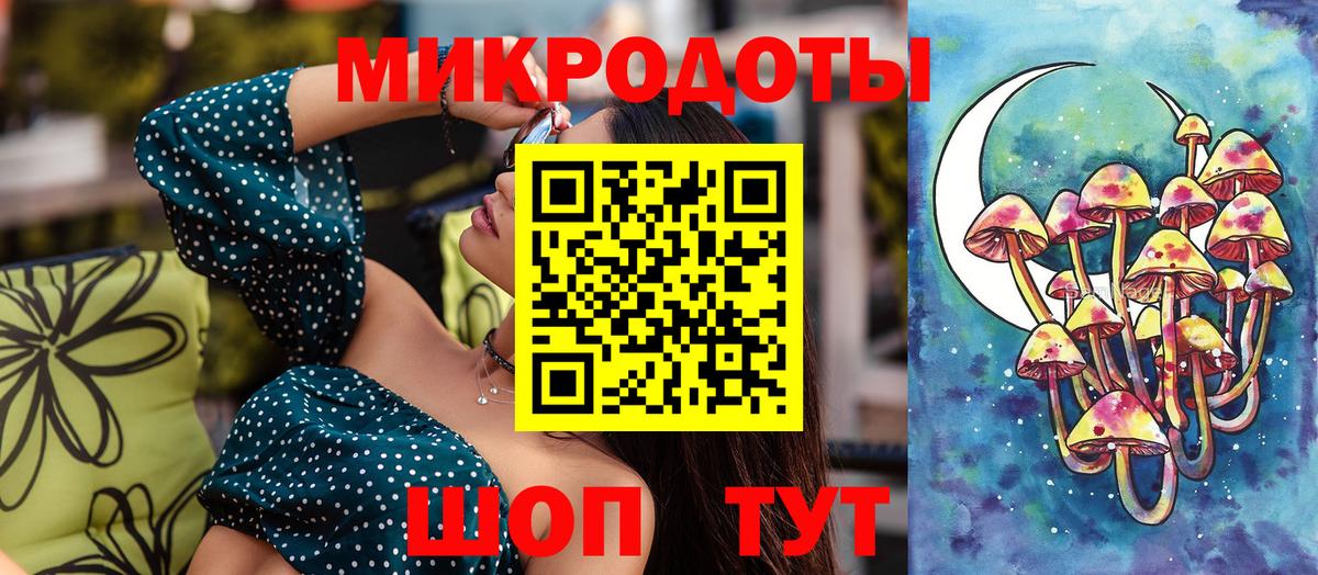 Псилоцибиновые грибы Psilocybine cubensis Каменка