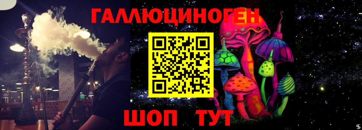 Галлюциногенные грибы Psilocybe  Вход с VPN  Каменка 